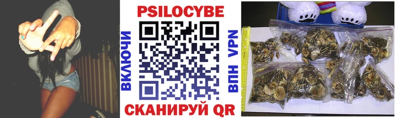 Галлюциногенные грибы прущие грибы  Купить где  Сосенский 